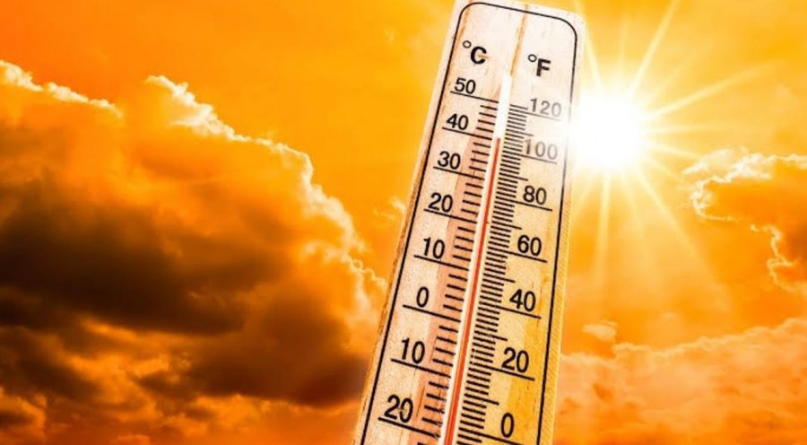 Rreth 9.800 vdekje nga vapa janë regjistruar në Gjermani nga fillimi i prillit deri më 19 korrik 2026.