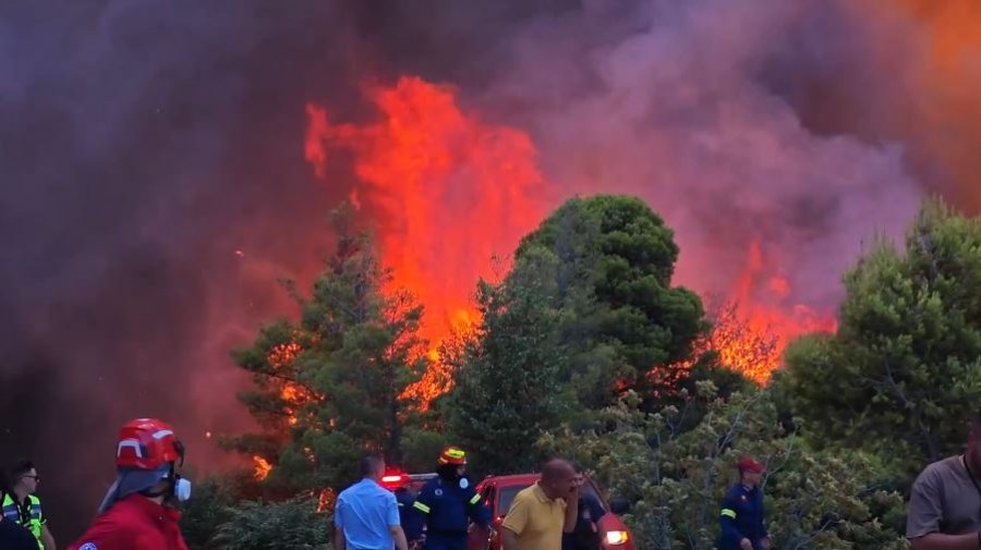 Flakët në Porto Germeno kanë përfshirë malin Kithaironas dhe po avancojnë drejt zonës së Venizës.