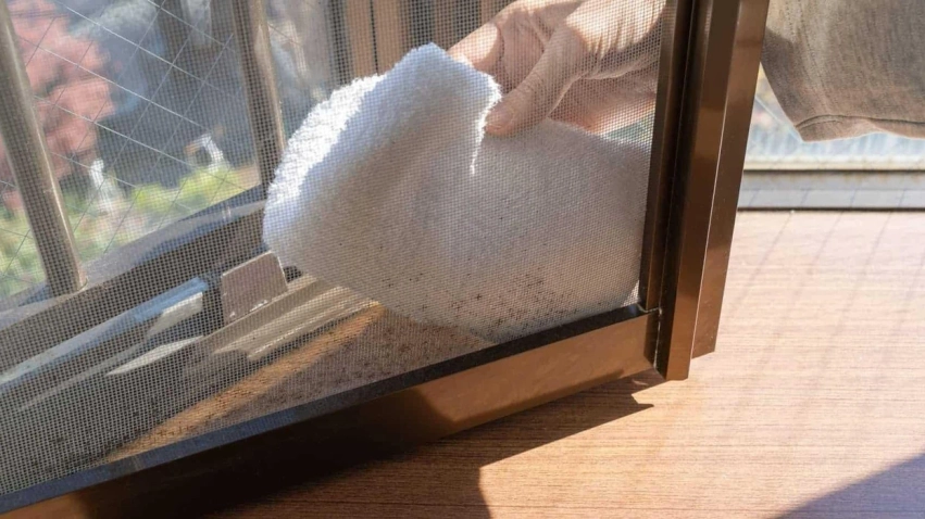 Si të pastroni rrjetën e insekteve pa krijuar shtresën gri të pluhurit