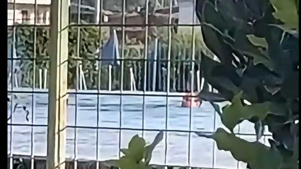 Kurti në pishinë ndërsa opozita e pret para Qeverisë