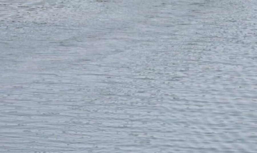 Tragjedia në Nigeri: 40 fëmijë humbin jetën pas përmbysjes së një varke