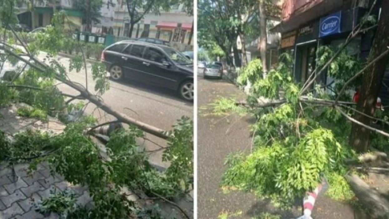 Stuhi e shkurtër me pasoja në Elbasan, pemë dhe shtylla tensioni të dëmtuara