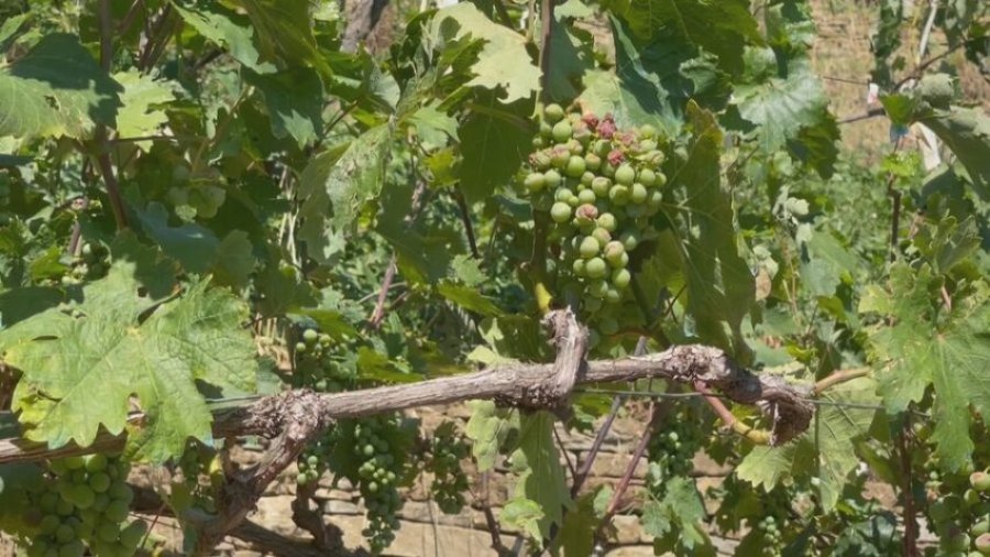Dëmet e breshërit dhe rrugës së shembur në fshatrat e Këlcyrës shqetësojnë banorët