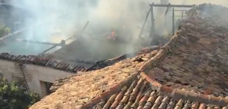 Flakët pushtojnë një banesë të braktisur në qendër të Durrësit