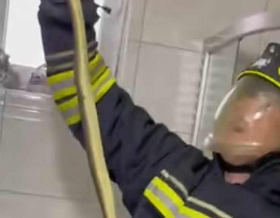 Zjarrfikësit e Ferizajt përballen me rritjen e gjarpërinjve në shtëpi këtë verë