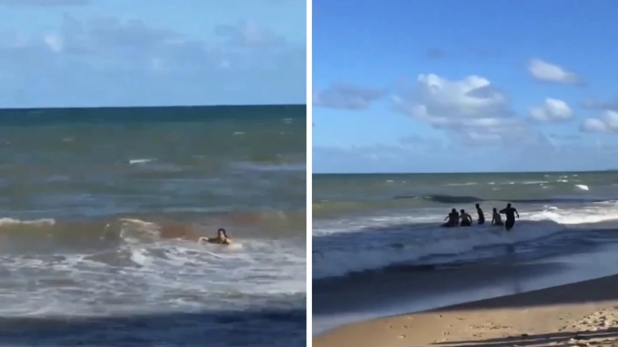 Dy sulme të rënda nga peshkaqenët në plazhet e Brazilit brenda një dite