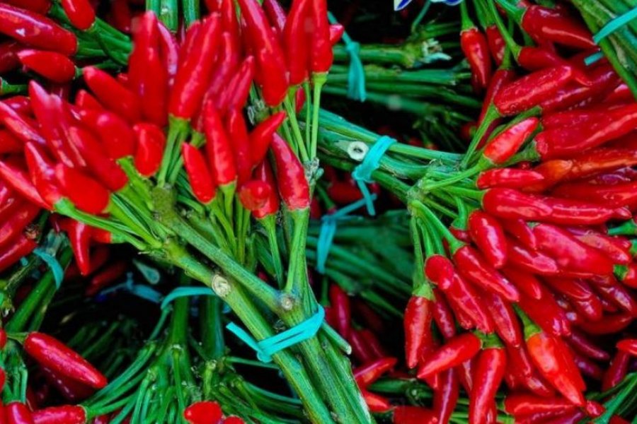 Sekreti i specit djegës për zemrën dhe shëndetin e përgjithshëm