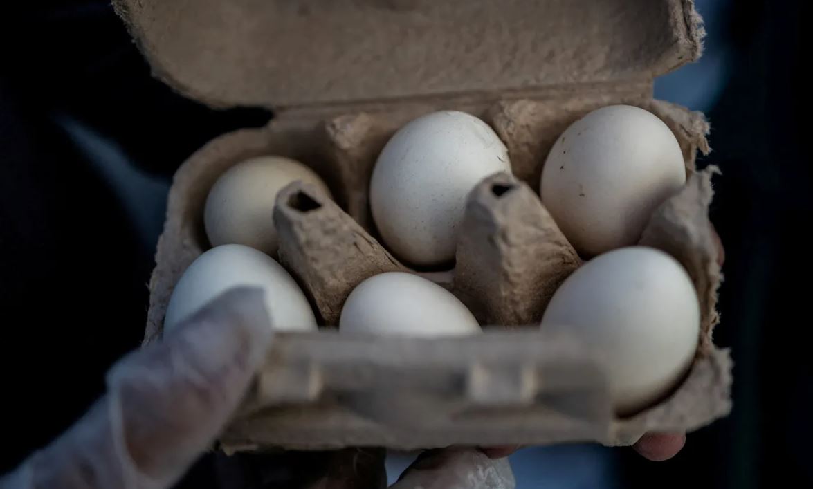 ShBA tërheq nga tregu rreth 19.2 milionë vezë për shkak të rrezikut nga Salmonella.