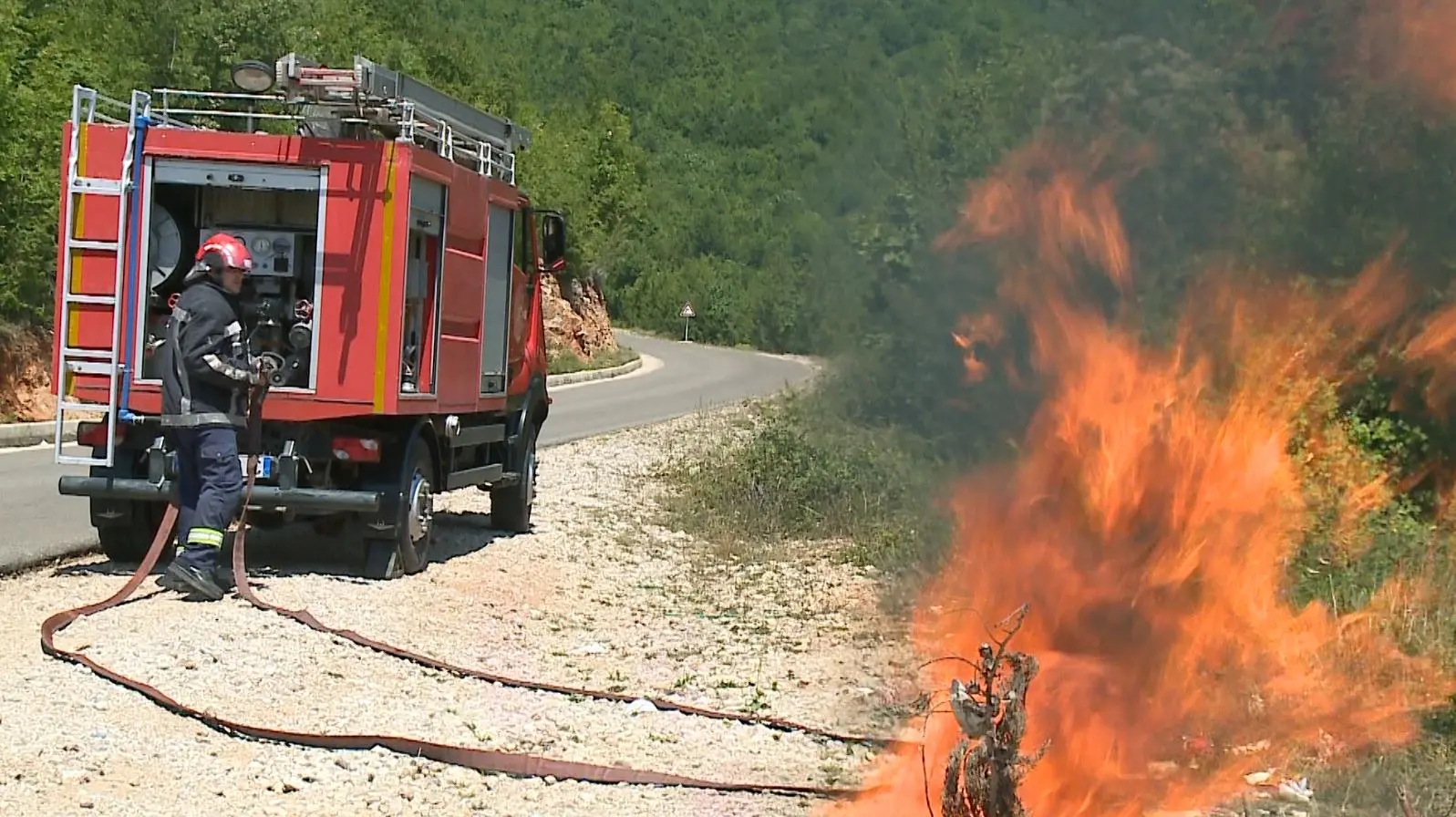 Zjarret në Shqipëri: 22 vatra në 24 orë dhe përpjekjet intensive për shuarje