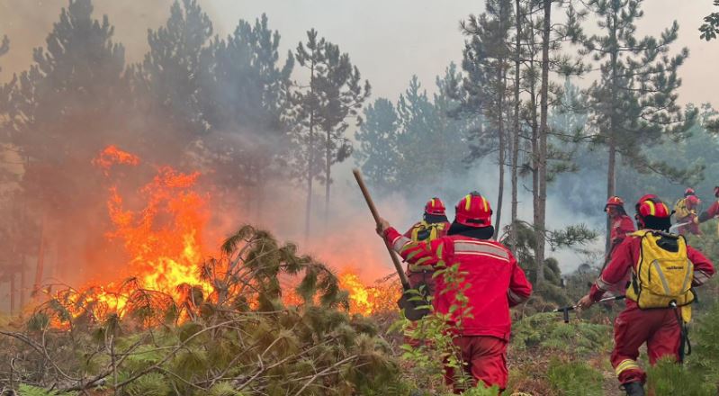 Zjarret në Shqipëri, flakët nën kontroll por ndërhyrjet vazhdojnë