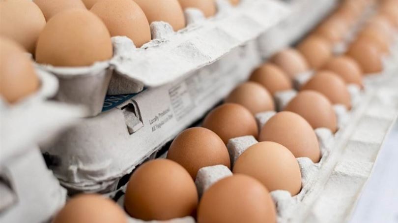 Pse duhet të hani dy vezë çdo ditë: përfitimet që nuk i prisni