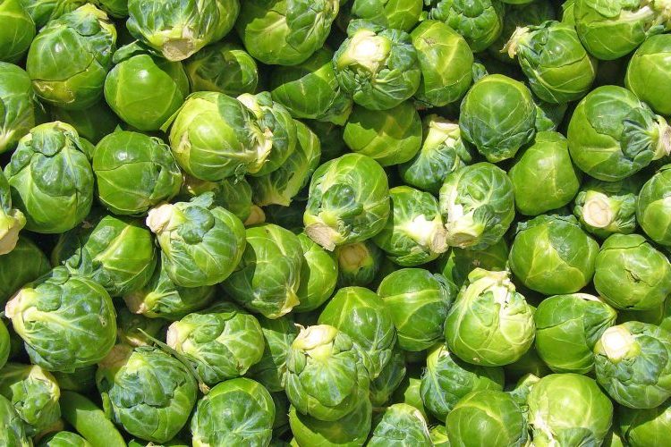 Fuqia e fshehur e lakrës së Brukselit për shëndetin tuaj