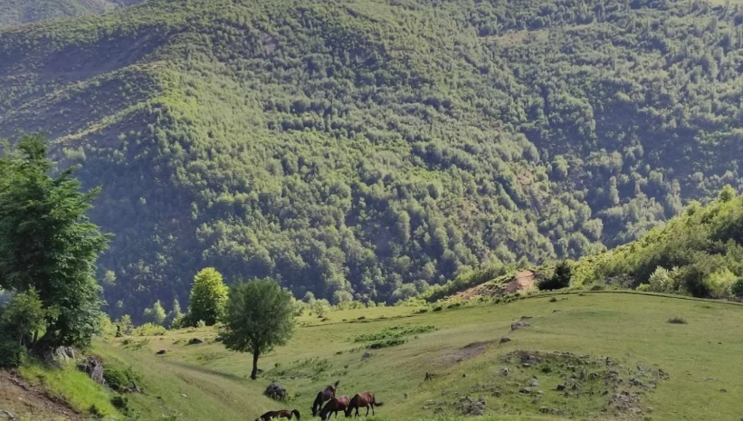 Dy turistë gjermanë zhduken në malin e Polisit, nis kërkimi i tyre në Librazhd