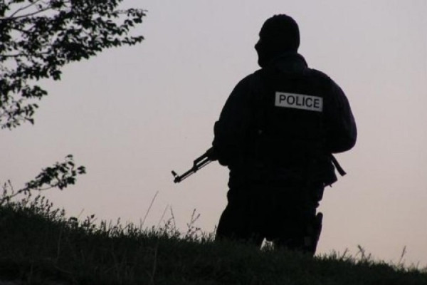 Kalimi ilegal i druve në kufirin Kosovë-Serbi, një person ndalohet në Podujevë