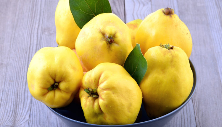 Fuqia shëruese e ftoit: më shumë se një frut i thjeshtë