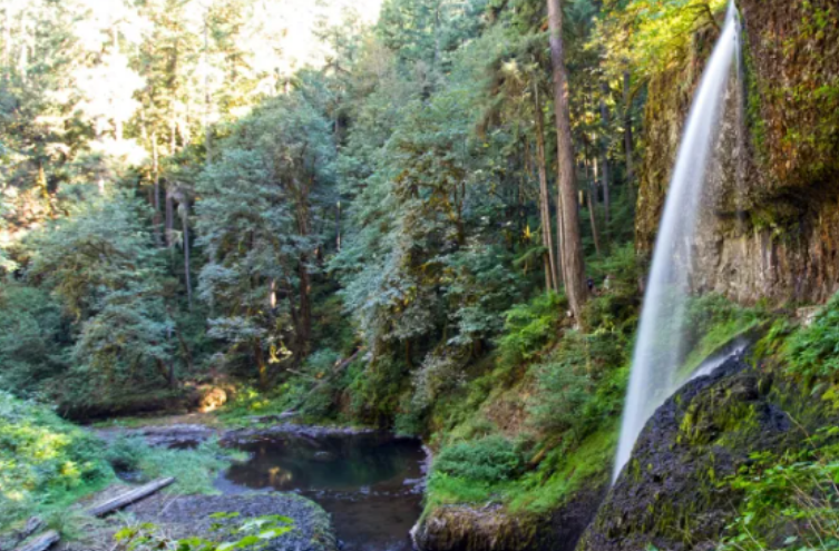 Fotografia fatale pranë ujëvarës në Oregon