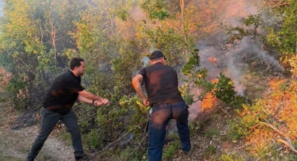 Zjarret në Mitrovicë: Ekipet në terren luftojnë për shuarjen e flakëve