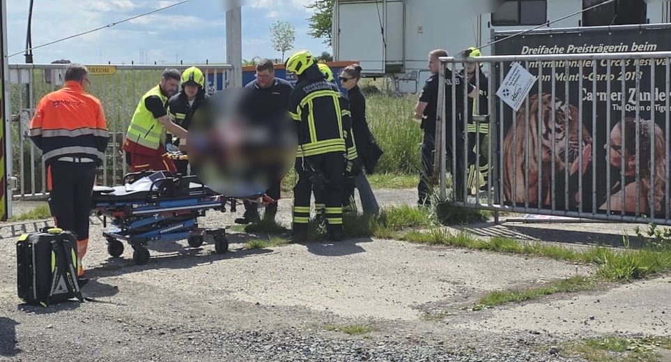 Sulmi fatal i tigrave në Gjermani trondit komunitetin lokal