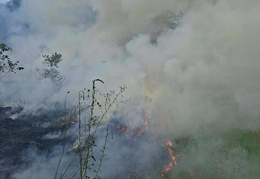 Temperaturat e larta shkaktojnë zjarr masiv në Lupç të Podujevës