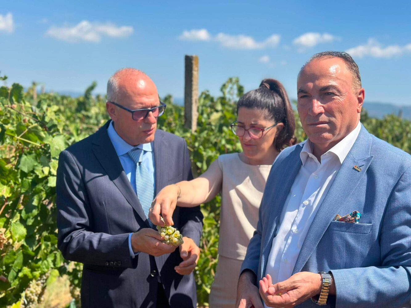 Në Suharekë ka nisur simbolikisht vjelja e rrushit të verës në plantacionet e AgroKosova Holding.