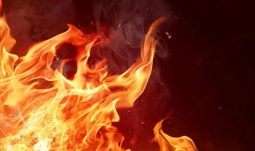 Zjarret që po përfshijnë veriut të vendit, Kollë në flakë pa dëme njerëzore