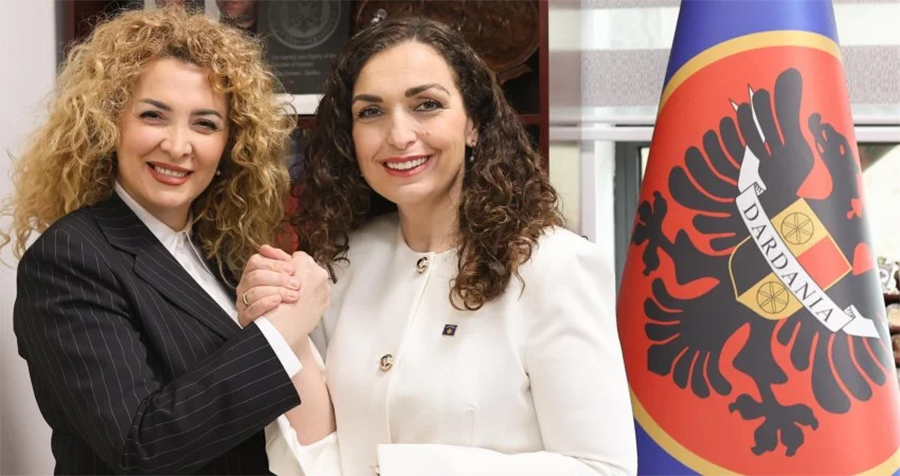 Vjosa Osmani dhe Albena Reshitaj bashkohen me Këshillin e Përgjithshëm të LDK-së