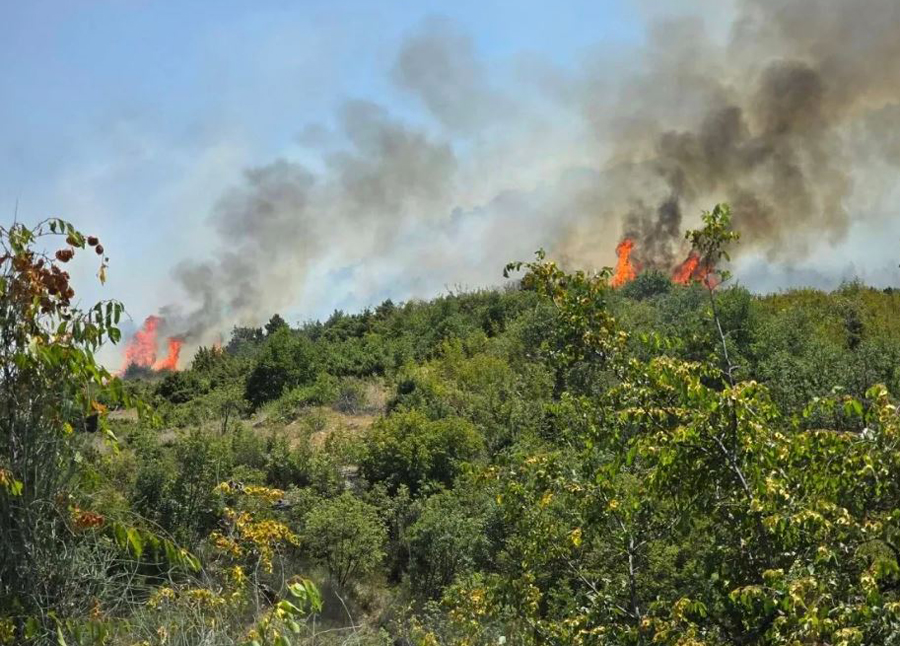 33 zjarre në vend, katër prej tyre ende kërcënuese për pyjet