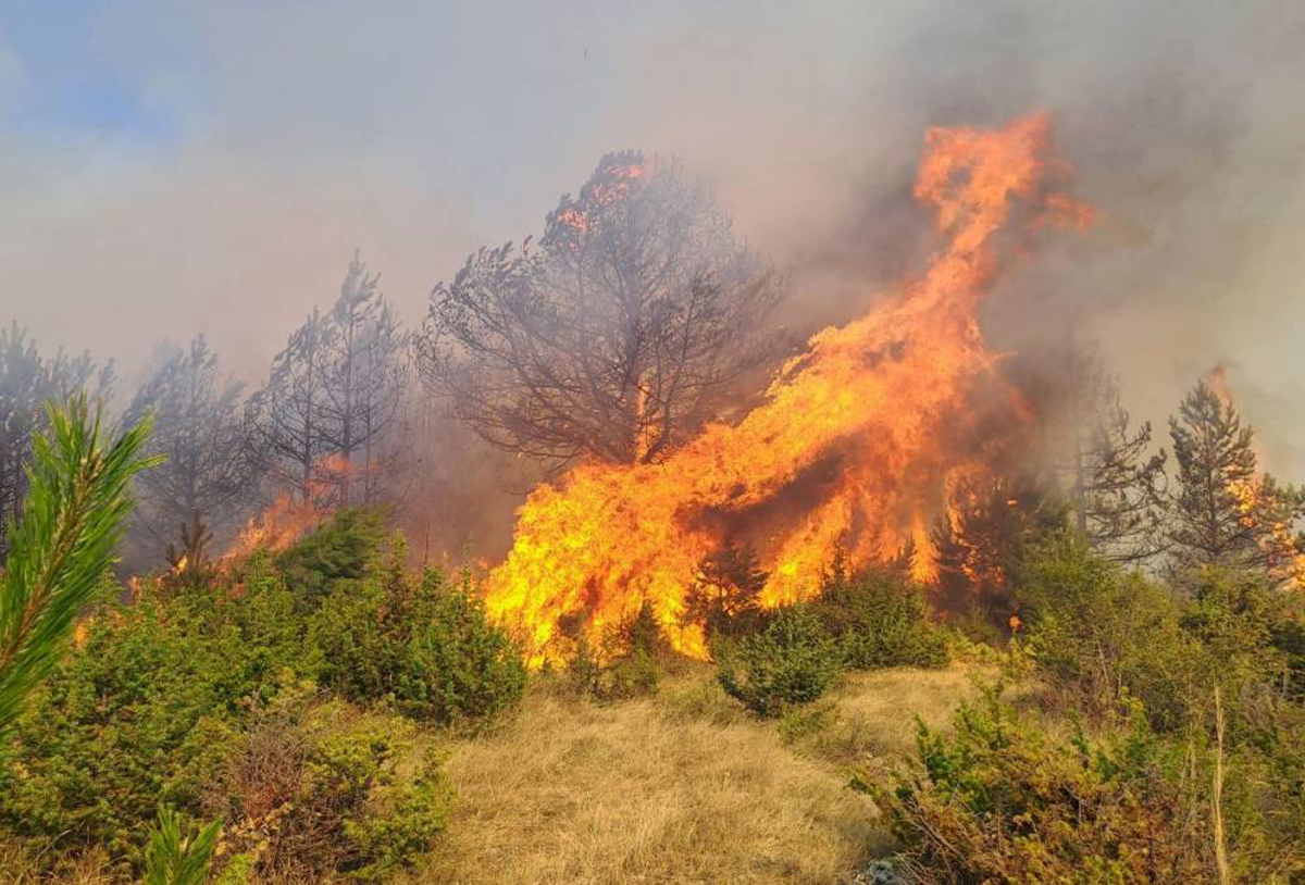 Situata e zjarreve në Maqedoni: Katër zjarre aktive dhe përpjekje për kontroll