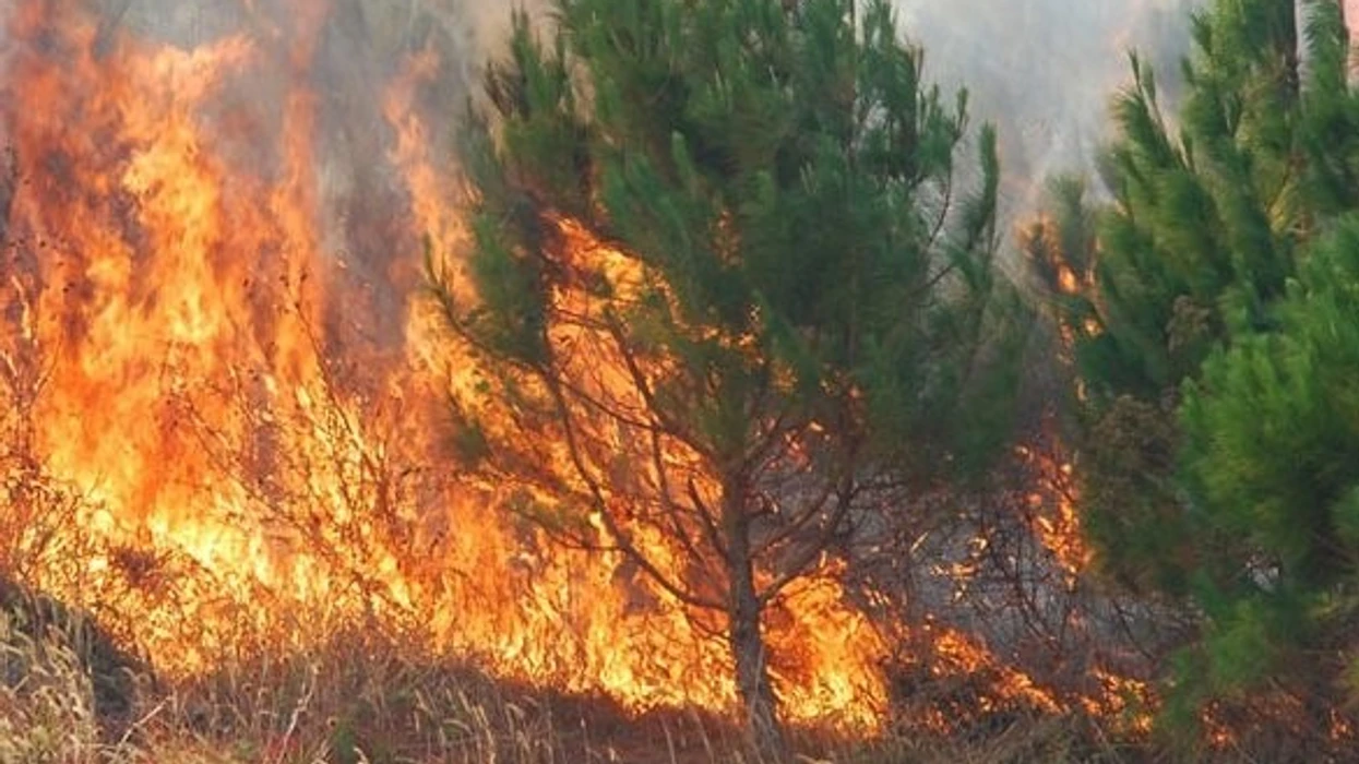 Situata me zjarret në hapësirë të hapur: 5 zjarre ende aktive, 42 të shuar deri në mëngjes