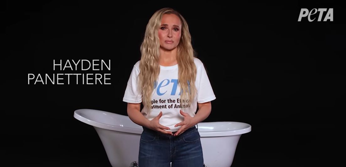 Reklama e fundit e Hayden Panettiere për kafshët, publikuar pas vdekjes së saj