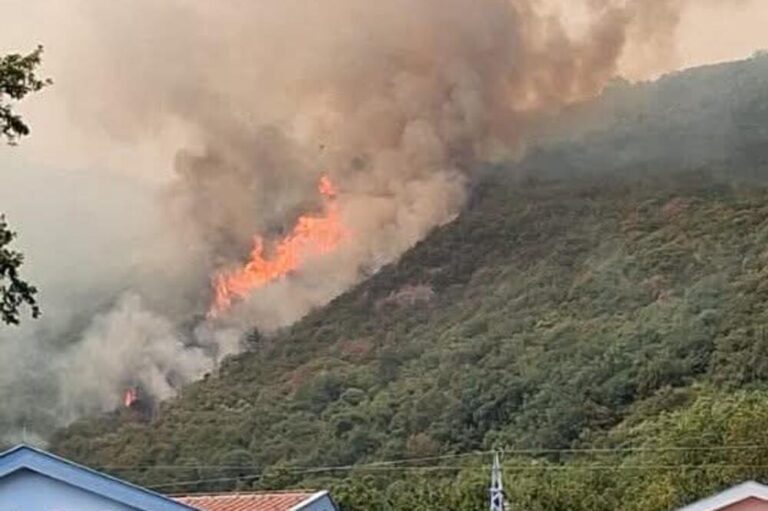 Gjithsej gjashtë mjete fluturuese po marrin pjesë në fikjen e zjarreve në Bijella dhe Ulqin.
