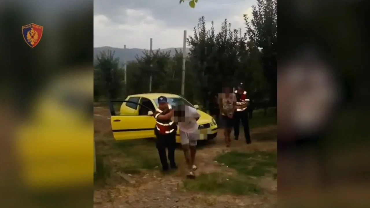 Dy të rinj kapen në flagrancë duke tentuar të fshehin drogën në Korçë