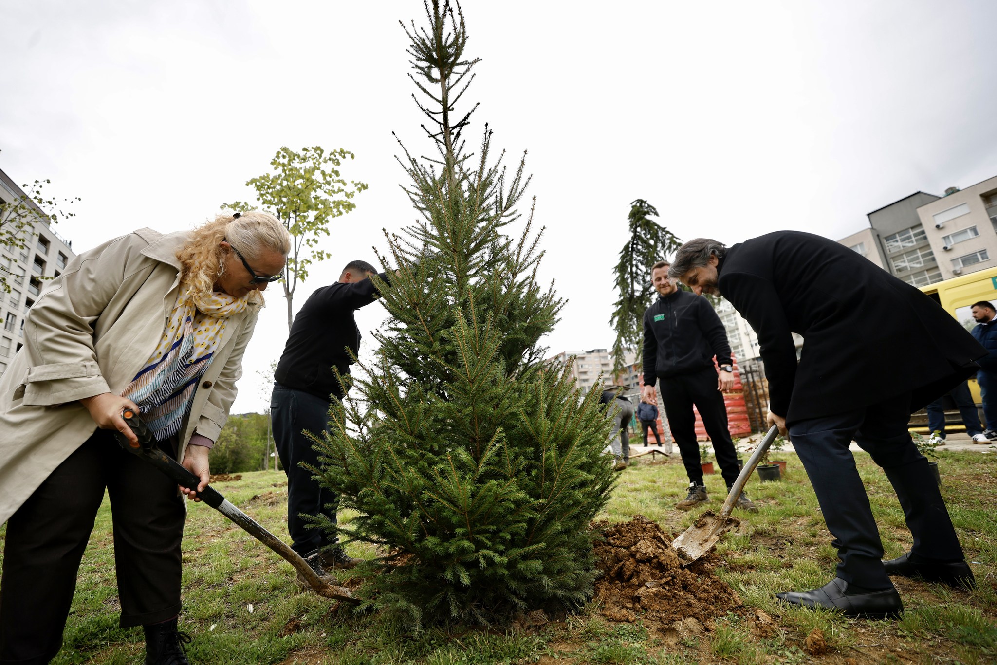 Prishtina bëhet më e gjelbër me mbjelljen e 100 kurorave në rrugën “Tirana”